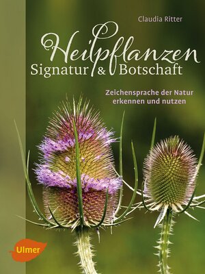 cover image of Heilpflanzen. Signatur und Botschaft